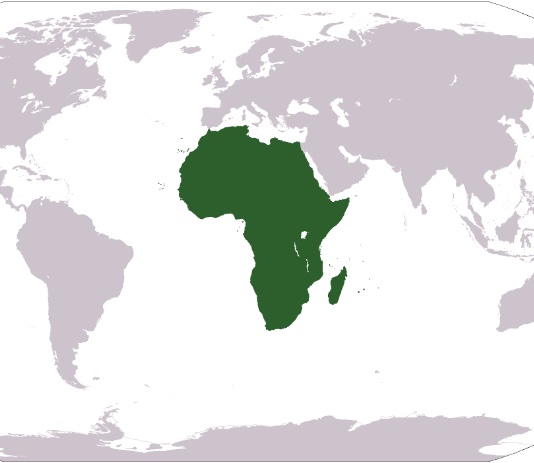 SIMEST – Potenziamento mercati africani